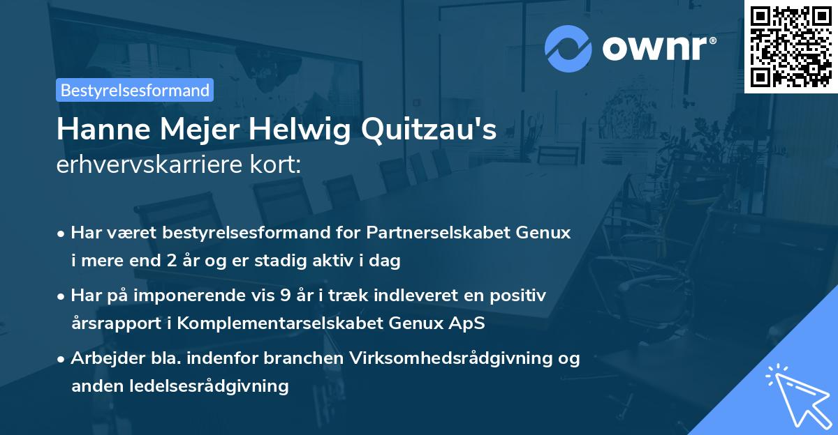 Hanne Mejer Helwig Quitzau's erhvervskarriere kort