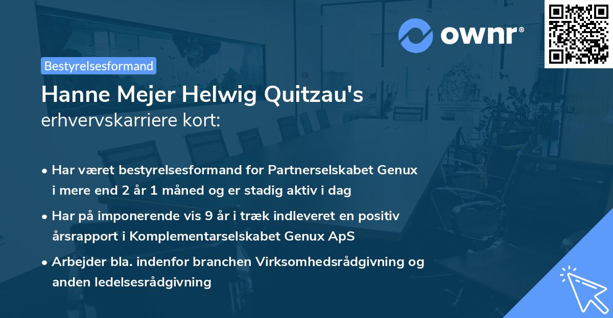 Hanne Mejer Helwig Quitzau's erhvervskarriere kort
