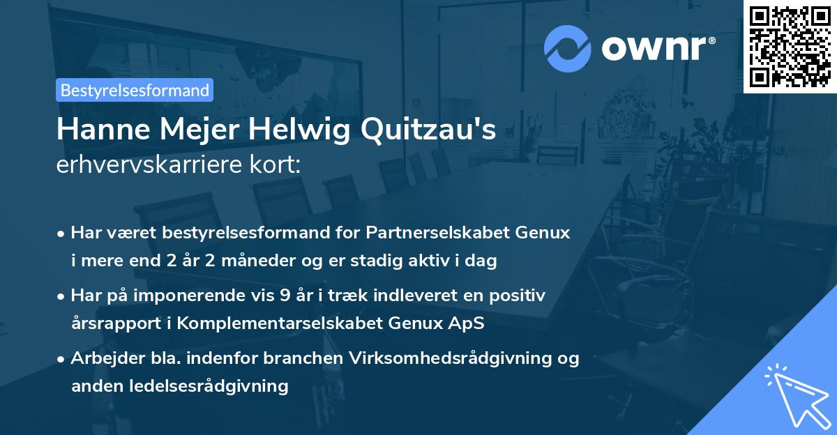 Hanne Mejer Helwig Quitzau's erhvervskarriere kort