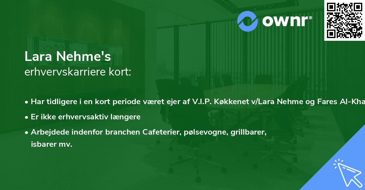 Lara Nehme's erhvervskarriere kort