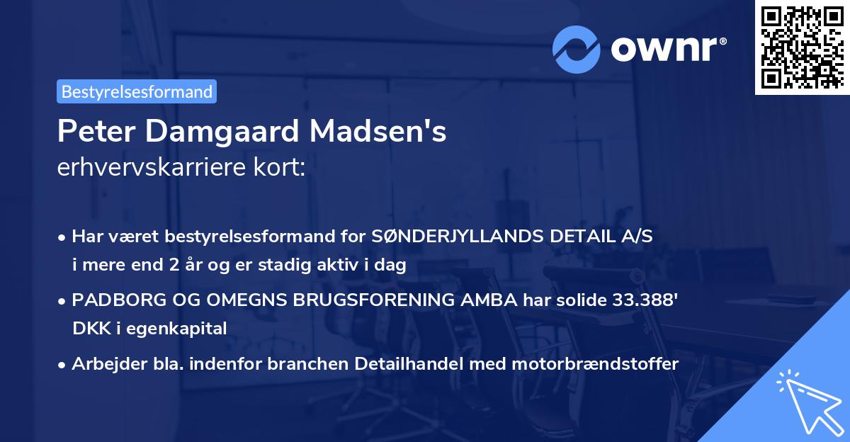Peter Damgaard Madsen's erhvervskarriere kort