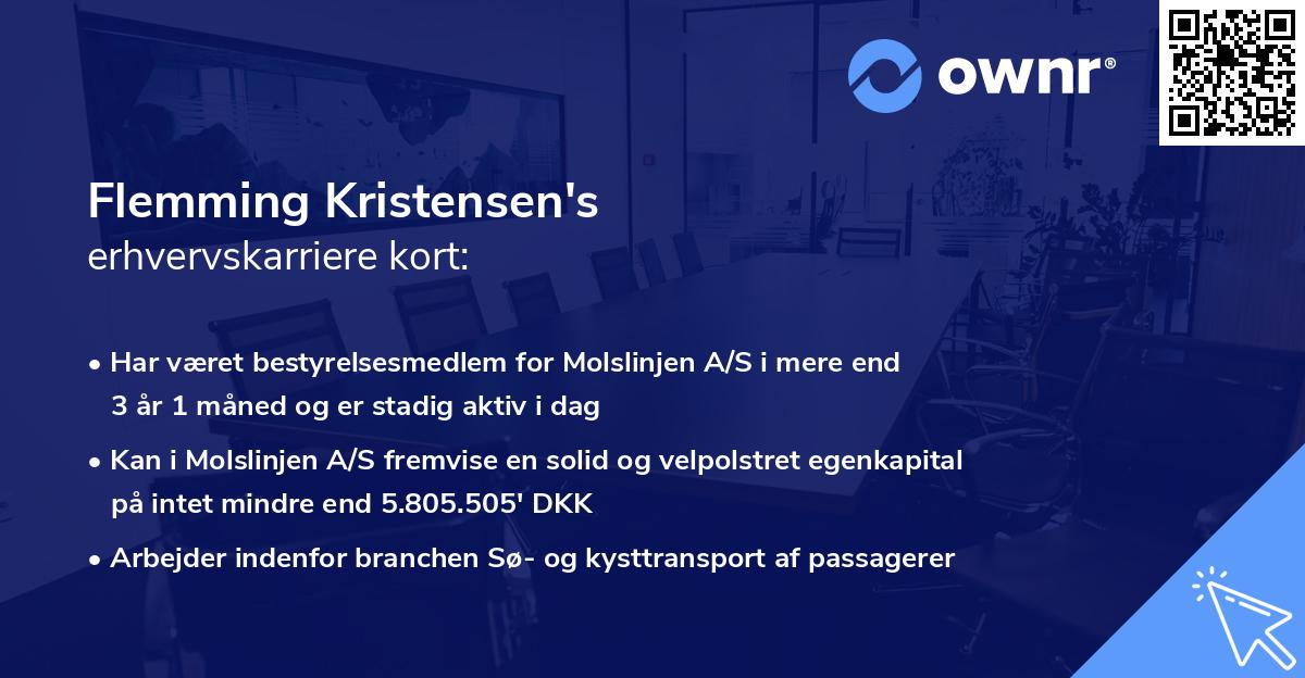 Flemming Kristensen's erhvervskarriere kort