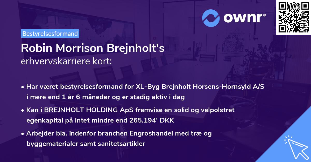 Robin Morrison Brejnholt's erhvervskarriere kort
