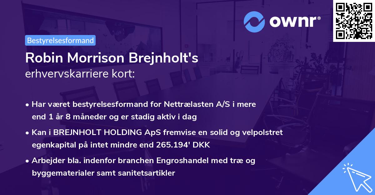 Robin Morrison Brejnholt's erhvervskarriere kort