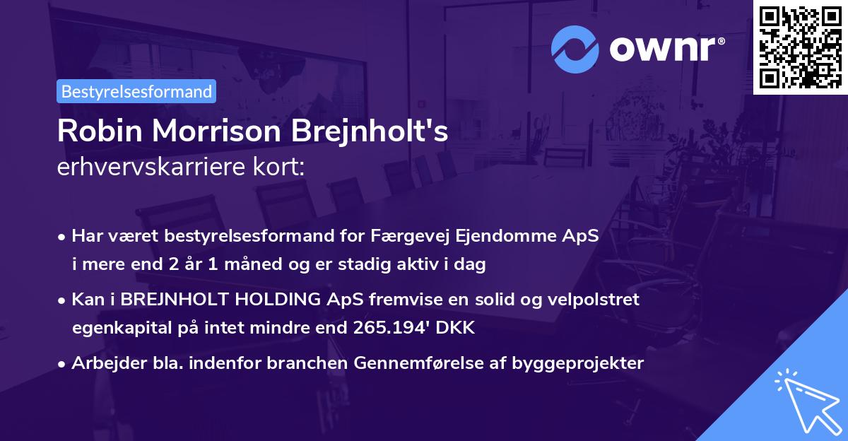 Robin Morrison Brejnholt's erhvervskarriere kort