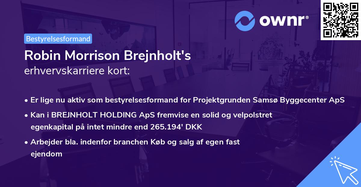 Robin Morrison Brejnholt's erhvervskarriere kort