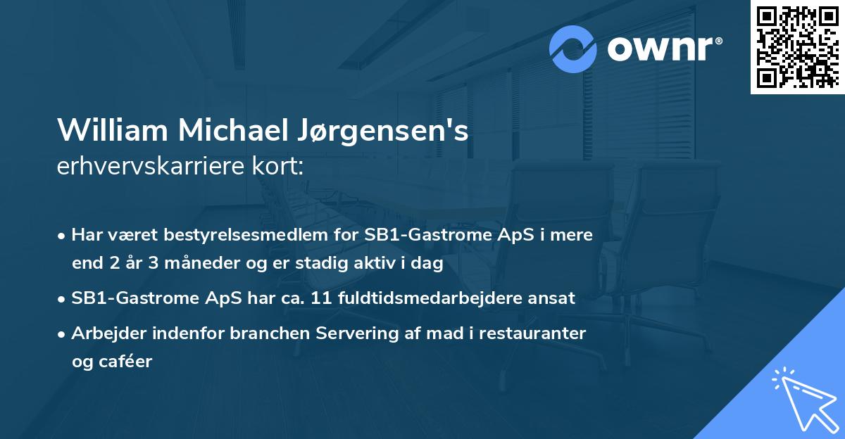 William Michael Jørgensen's erhvervskarriere kort
