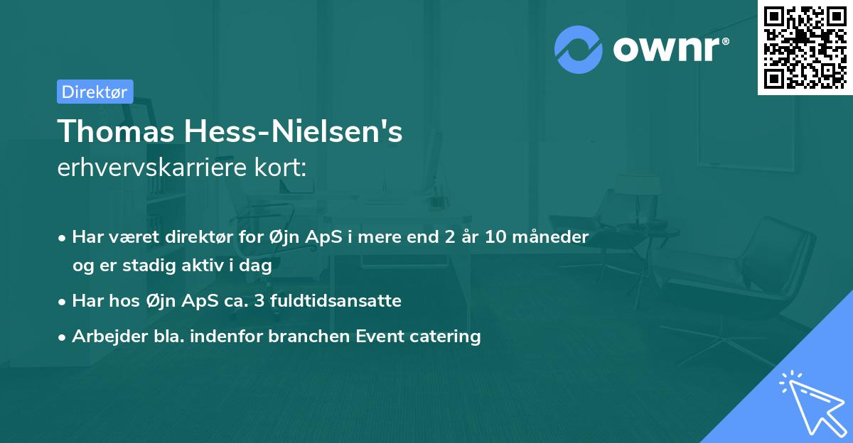 Thomas Hess-Nielsen's erhvervskarriere kort