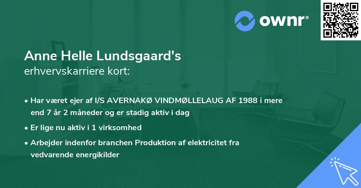 Anne Helle Lundsgaard's erhvervskarriere kort