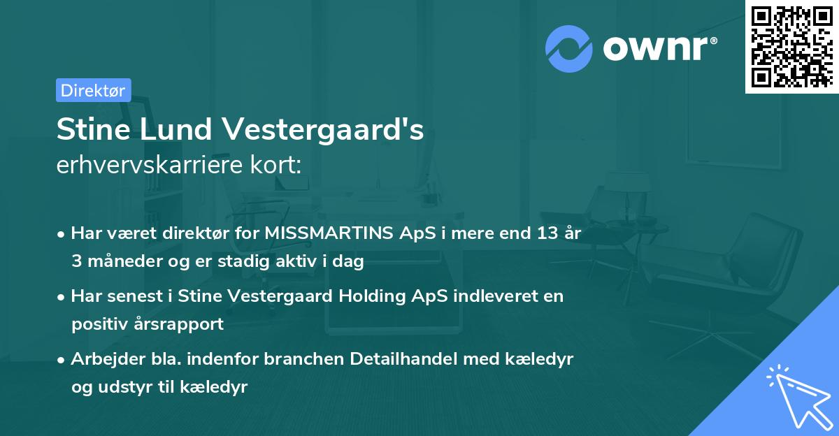 Stine Lund Vestergaard's erhvervskarriere kort