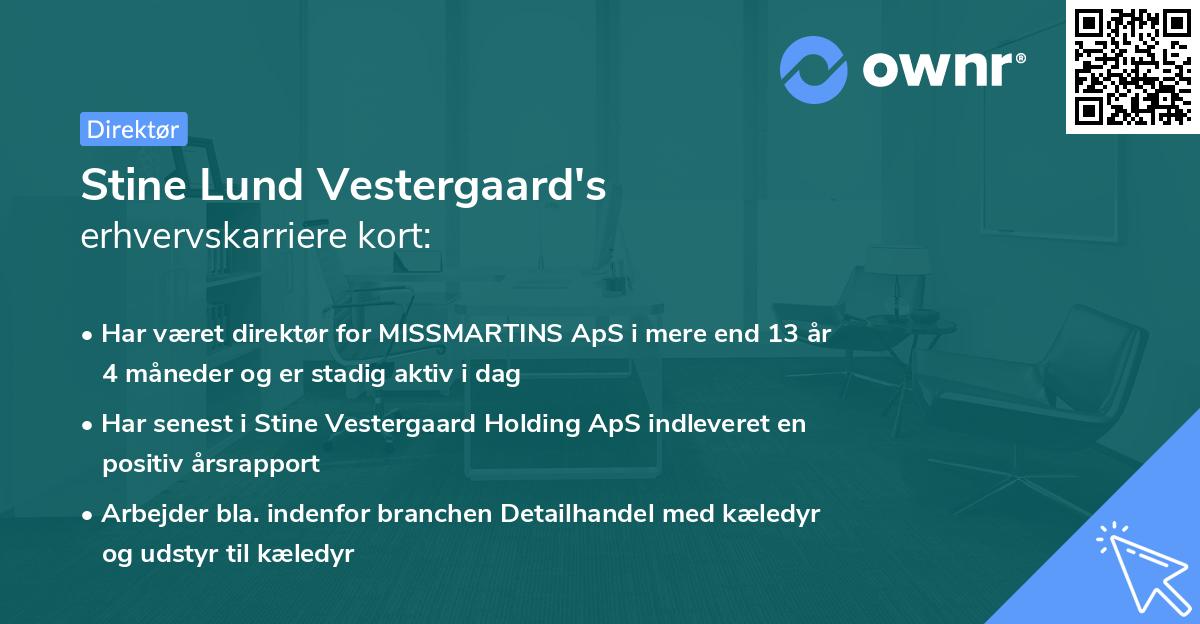 Stine Lund Vestergaard's erhvervskarriere kort