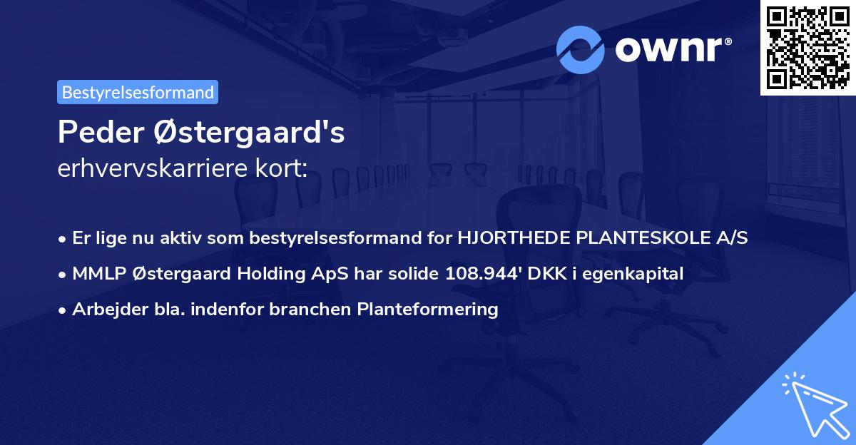 Peder Østergaard's erhvervskarriere kort