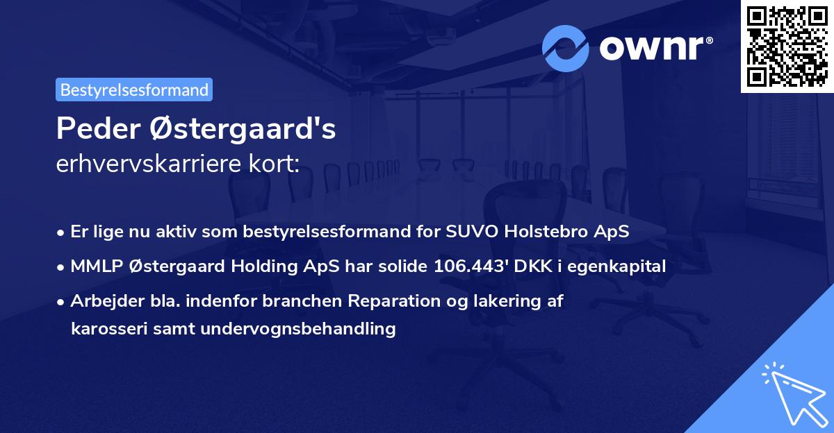 Peder Østergaard's erhvervskarriere kort