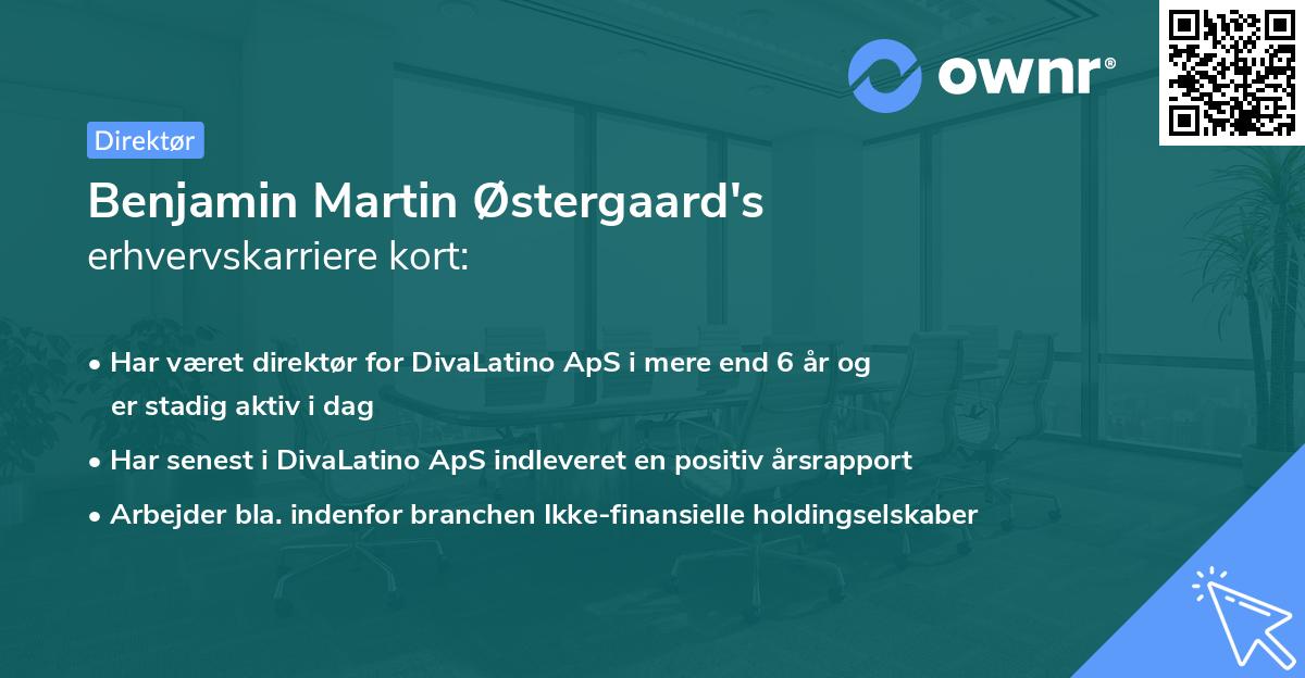 Benjamin Martin Østergaard's erhvervskarriere kort