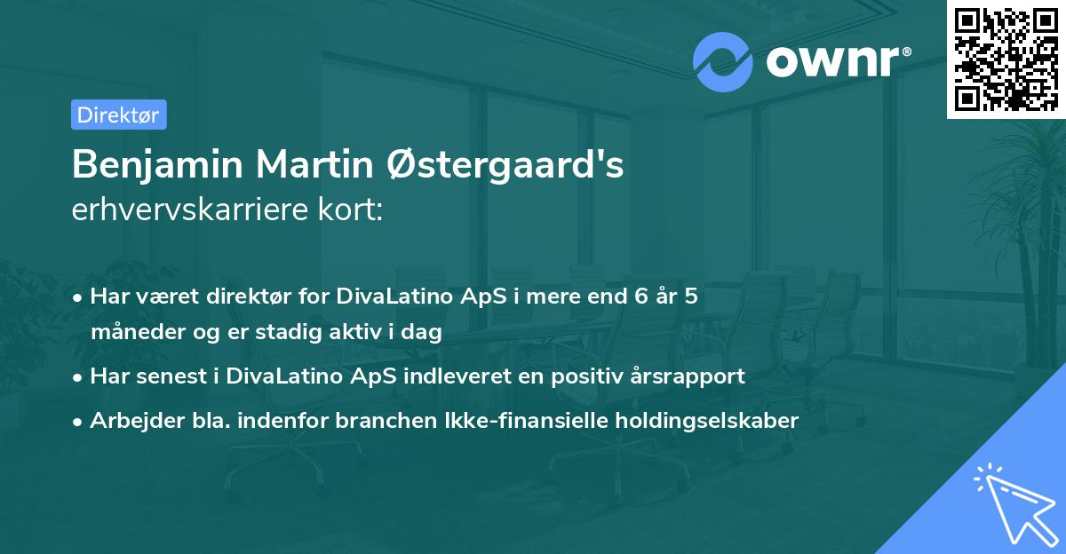 Benjamin Martin Østergaard's erhvervskarriere kort