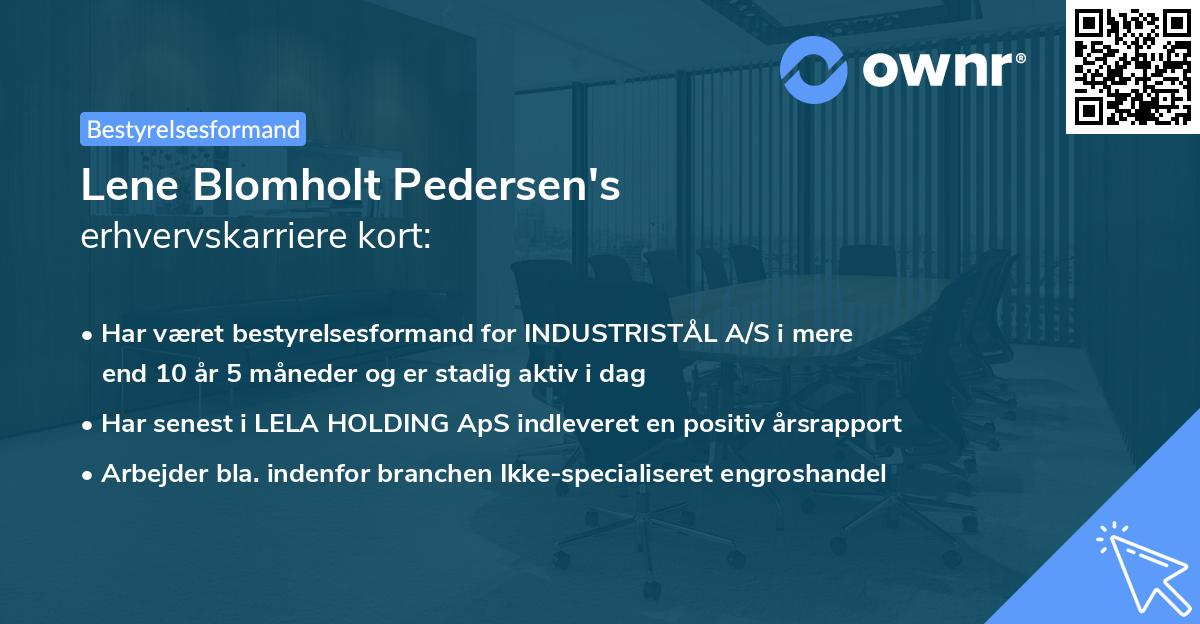 Lene Blomholt Pedersen's erhvervskarriere kort