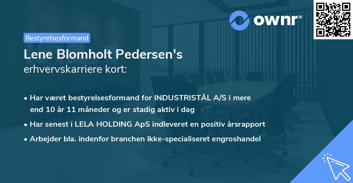 Lene Blomholt Pedersen's erhvervskarriere kort