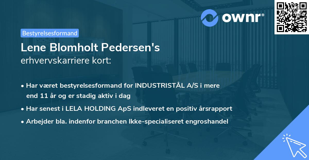 Lene Blomholt Pedersen's erhvervskarriere kort