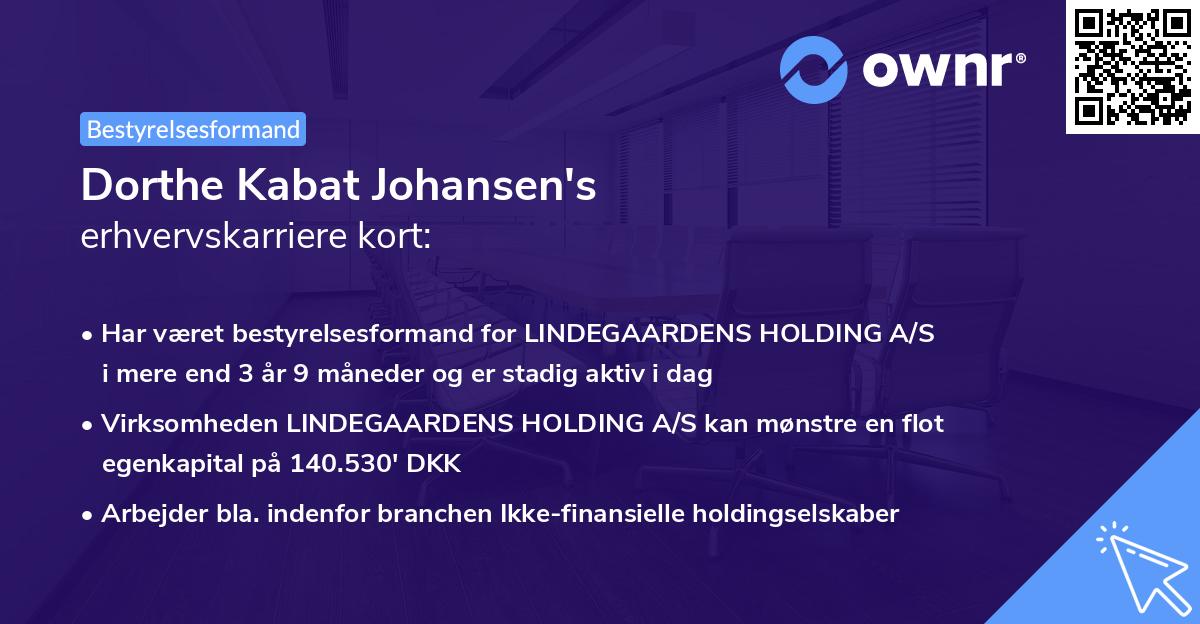 Dorthe Kabat Johansen's erhvervskarriere kort