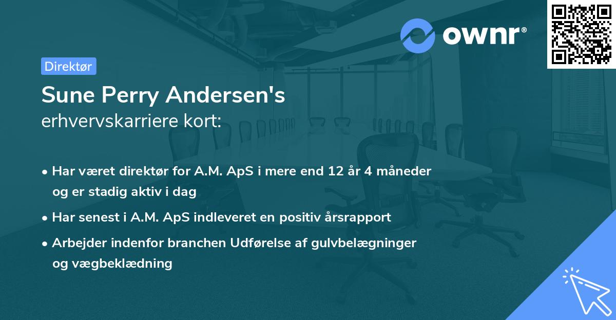 Sune Perry Andersen's erhvervskarriere kort