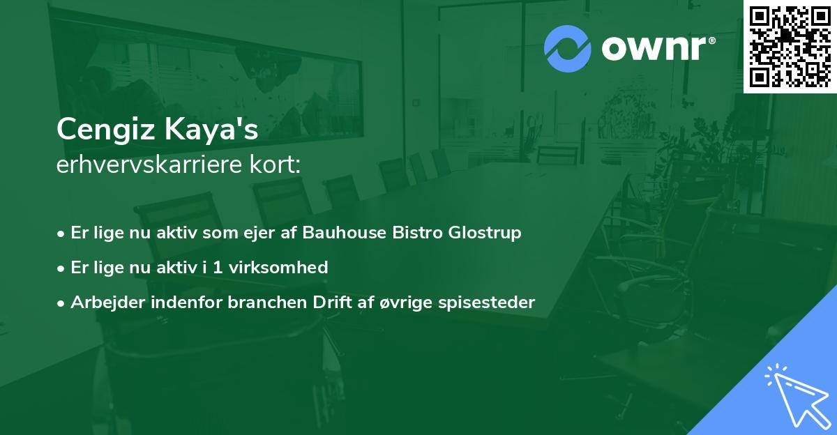 Cengiz Kaya's erhvervskarriere kort