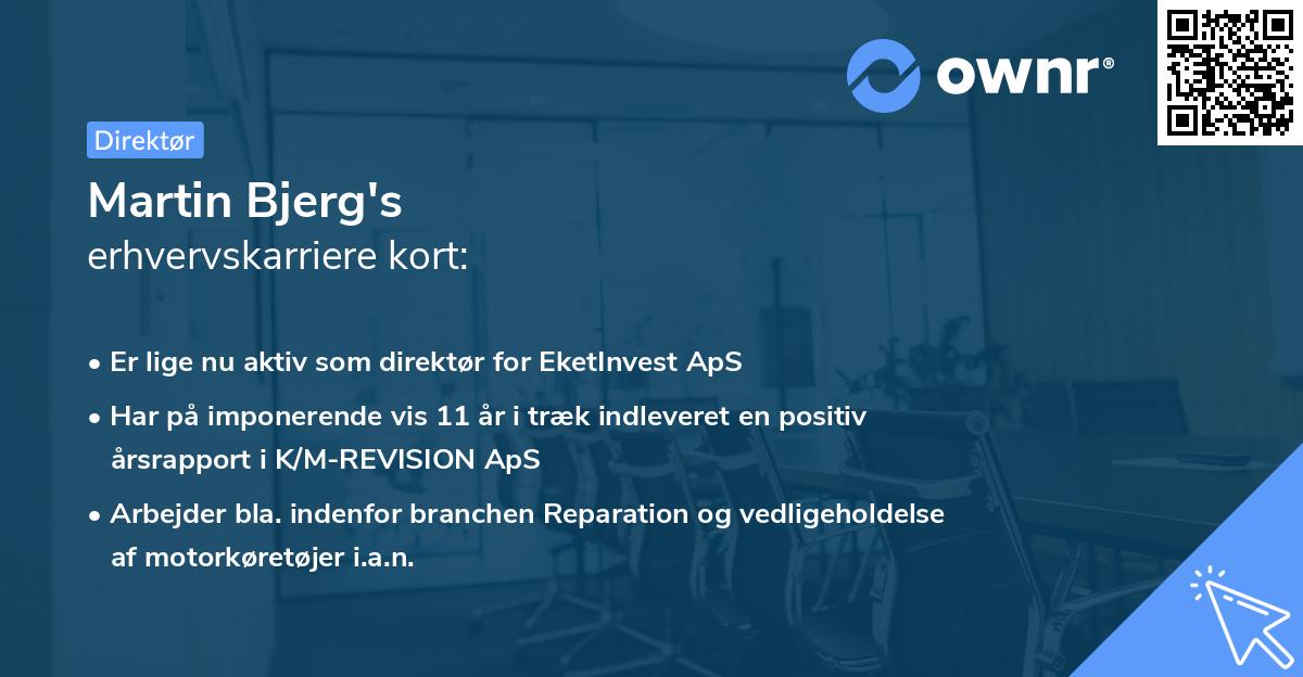 Martin Bjerg's erhvervskarriere kort