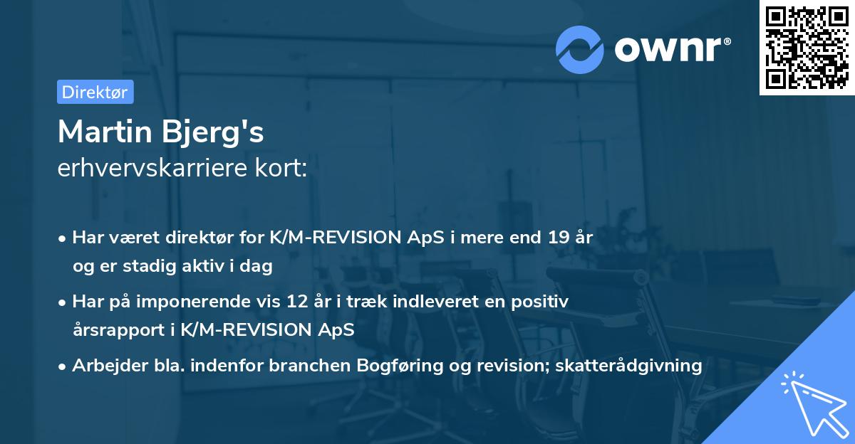 Martin Bjerg's erhvervskarriere kort