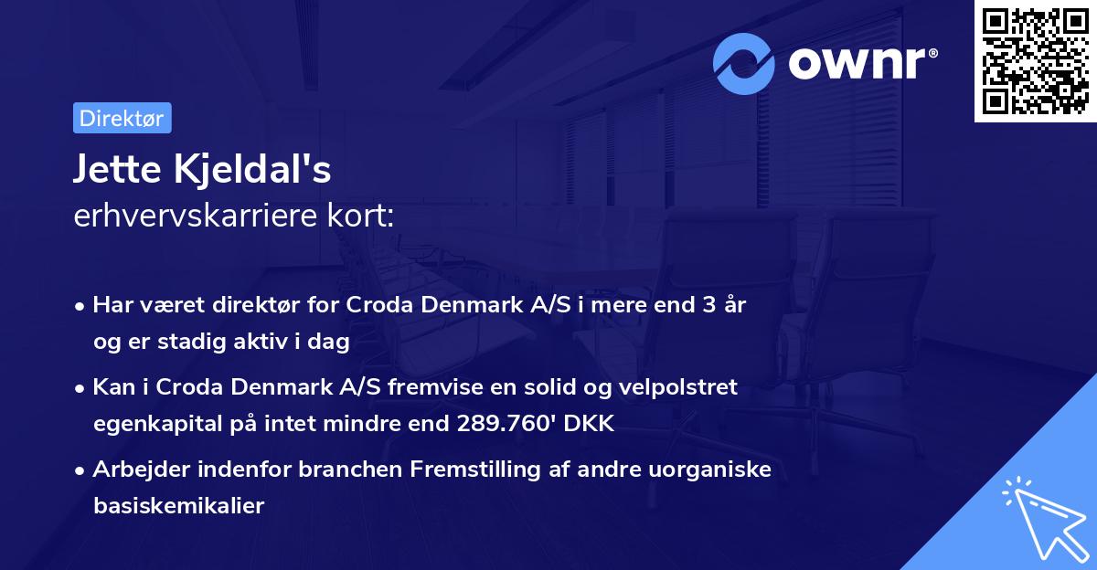 Jette Kjeldal's erhvervskarriere kort