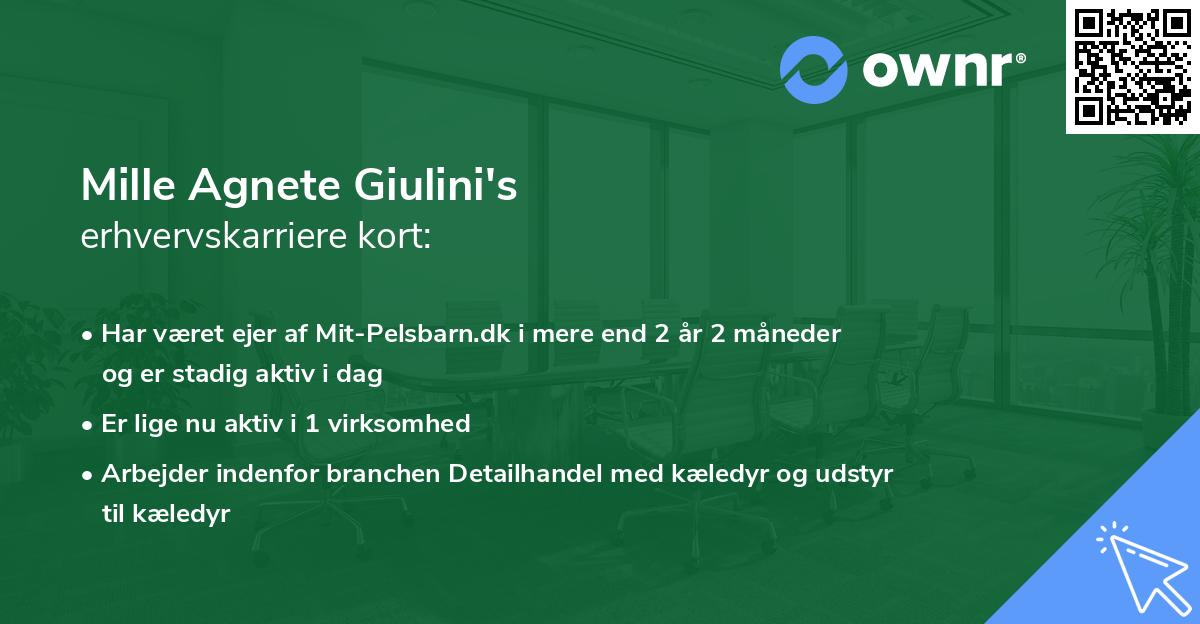 Mille Agnete Giulini's erhvervskarriere kort