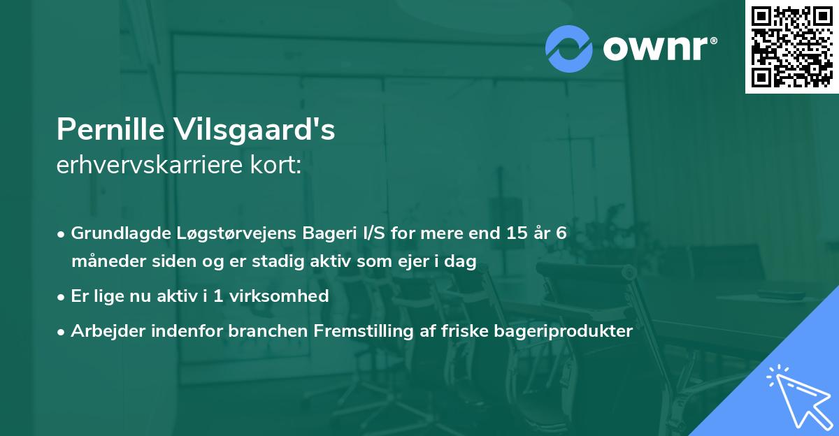 Pernille Vilsgaard's erhvervskarriere kort