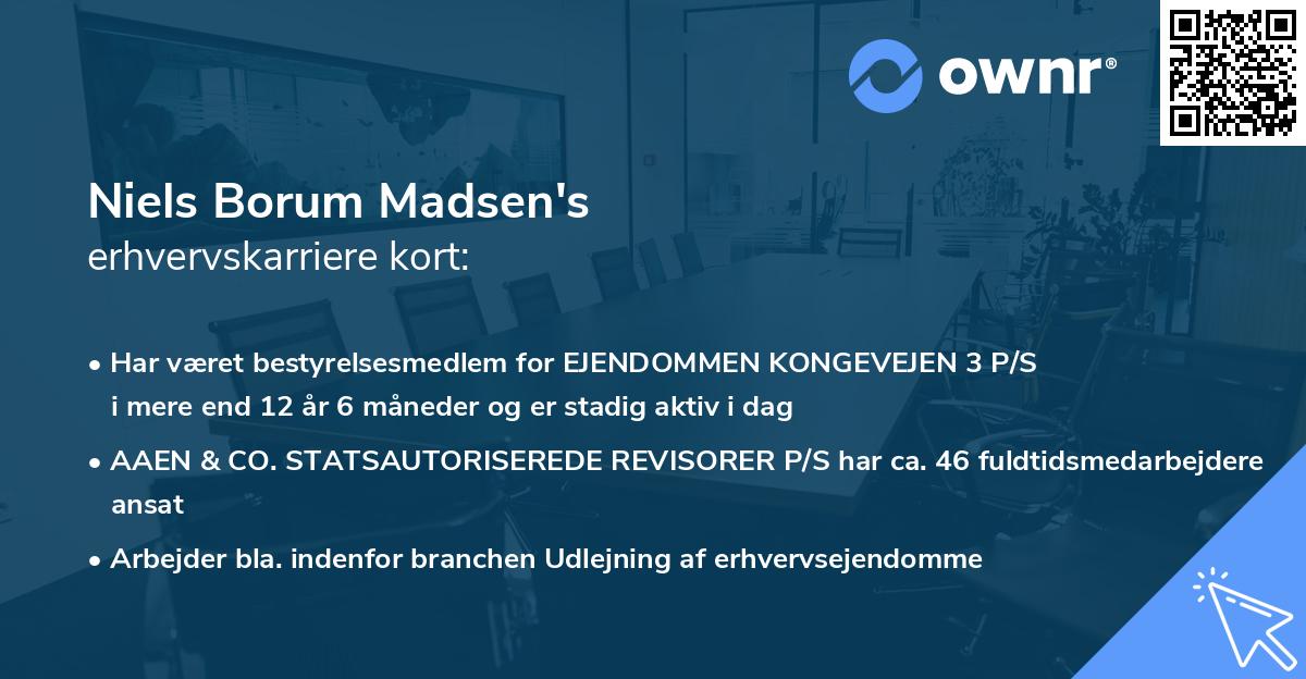 Niels Borum Madsen's erhvervskarriere kort