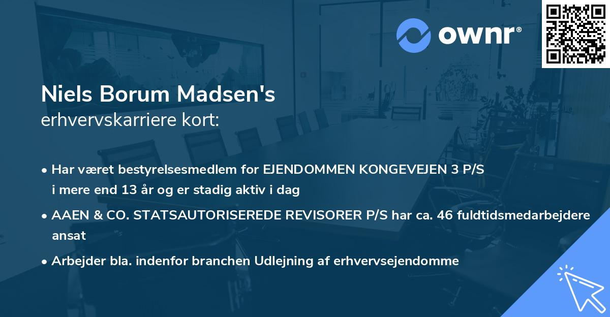 Niels Borum Madsen's erhvervskarriere kort