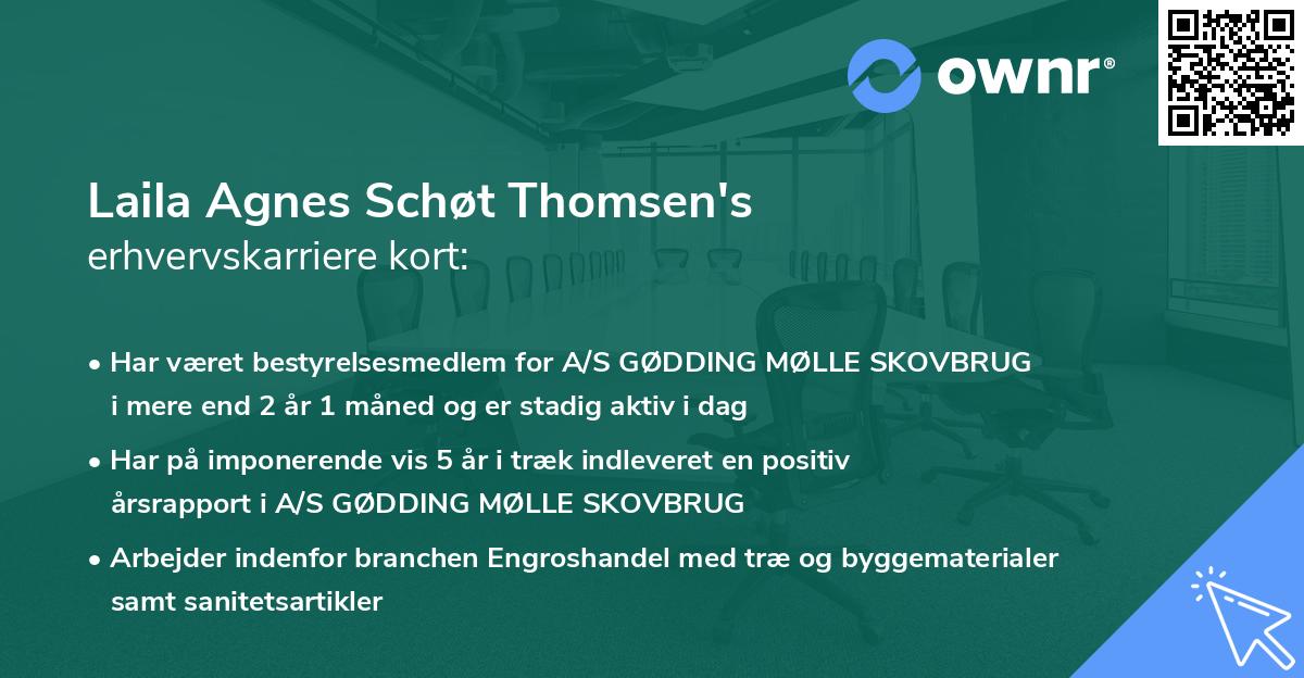 Laila Agnes Schøt Thomsen's erhvervskarriere kort