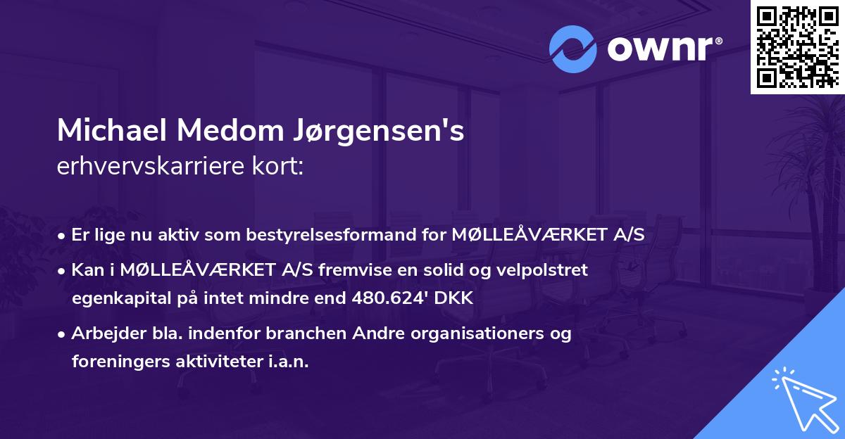 Michael Medom Jørgensen's erhvervskarriere kort