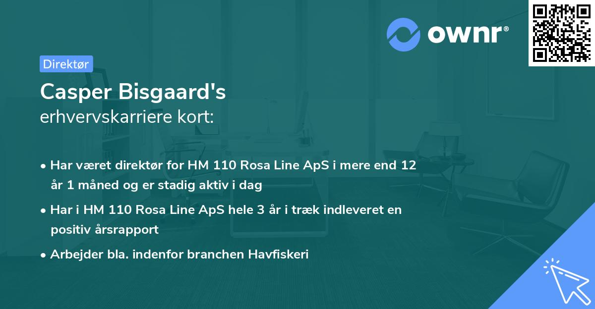 Casper Bisgaard's erhvervskarriere kort