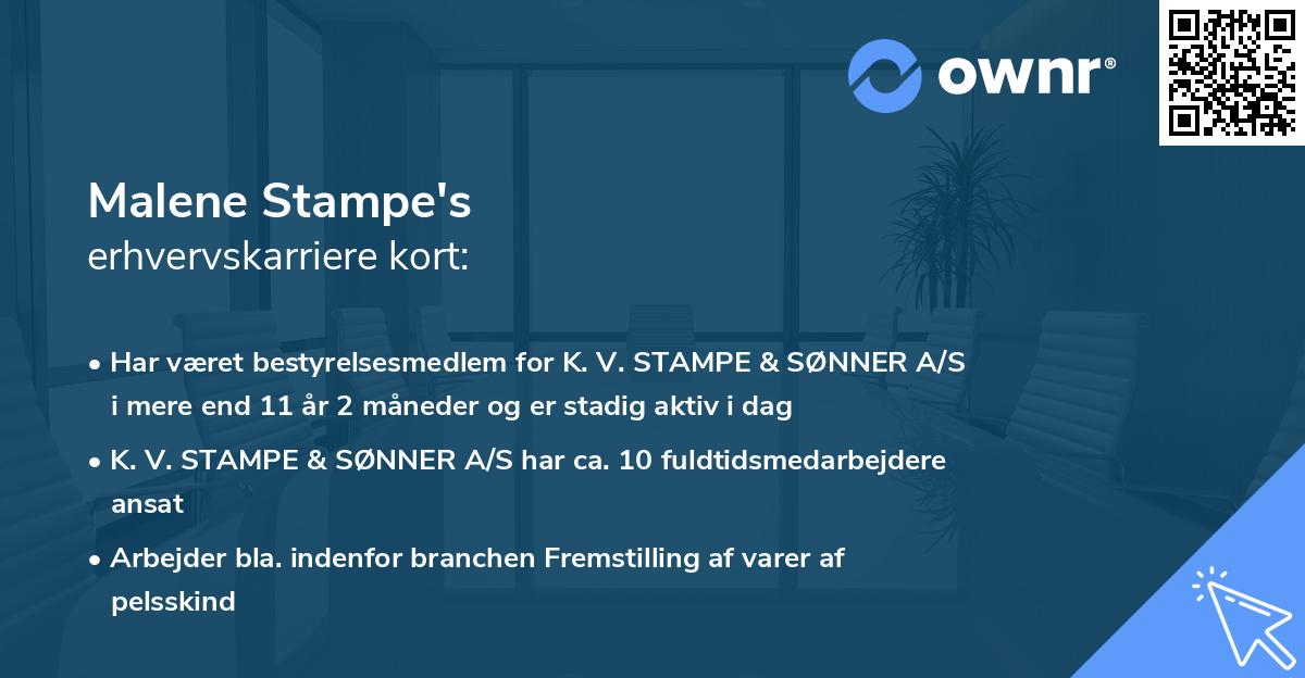 Malene Stampe's erhvervskarriere kort