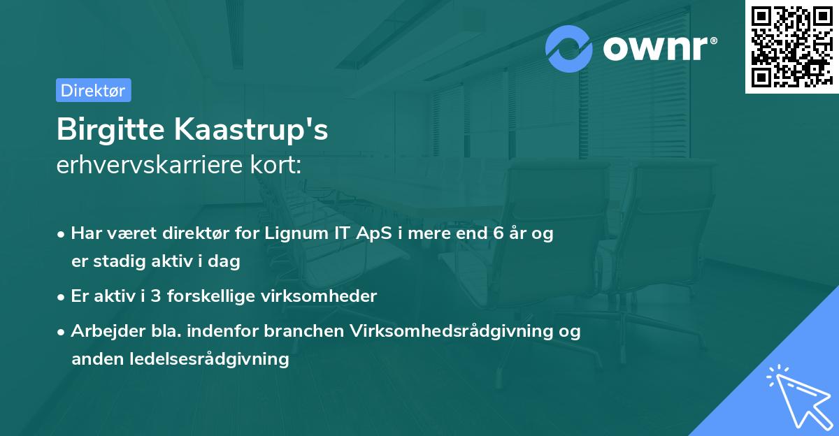 Birgitte Kaastrup's erhvervskarriere kort