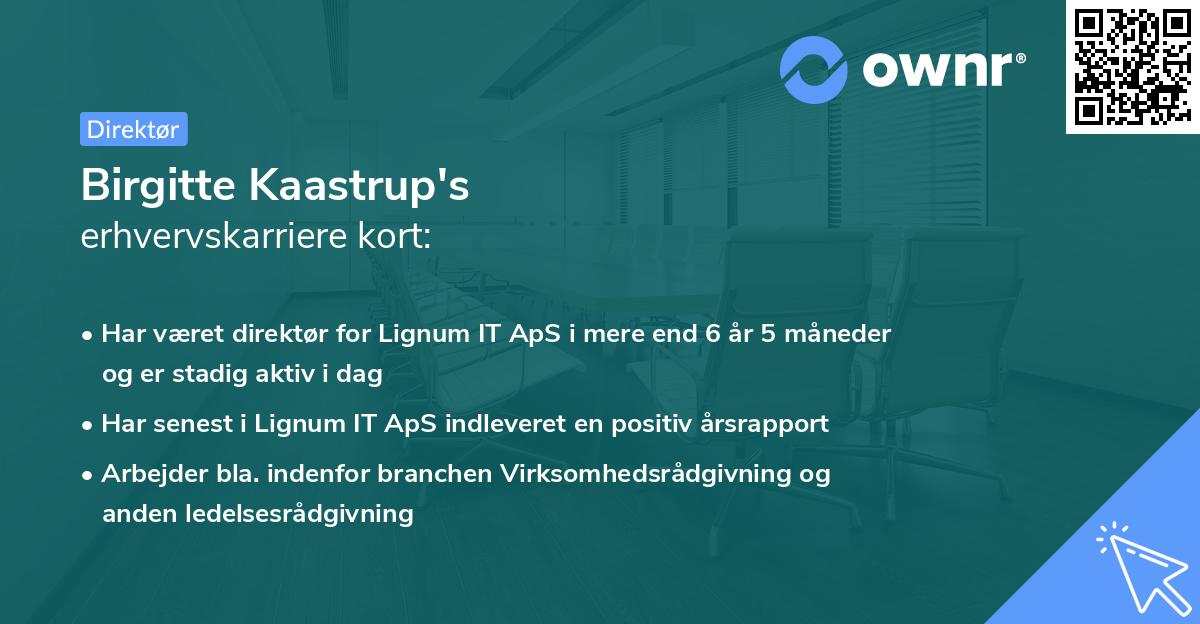 Birgitte Kaastrup's erhvervskarriere kort