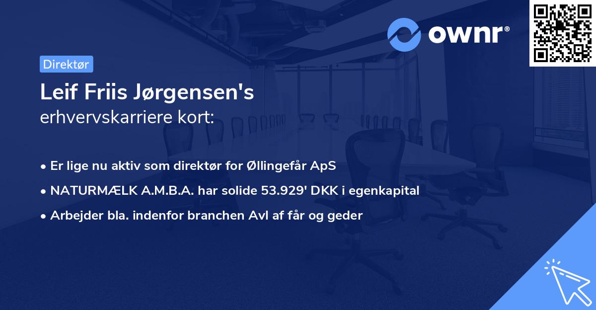 Leif Friis Jørgensen's erhvervskarriere kort
