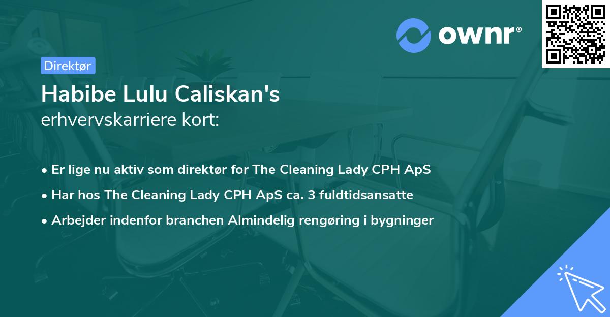 Habibe Lulu Caliskan's erhvervskarriere kort