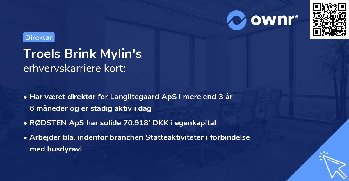 Troels Brink Mylin's erhvervskarriere kort