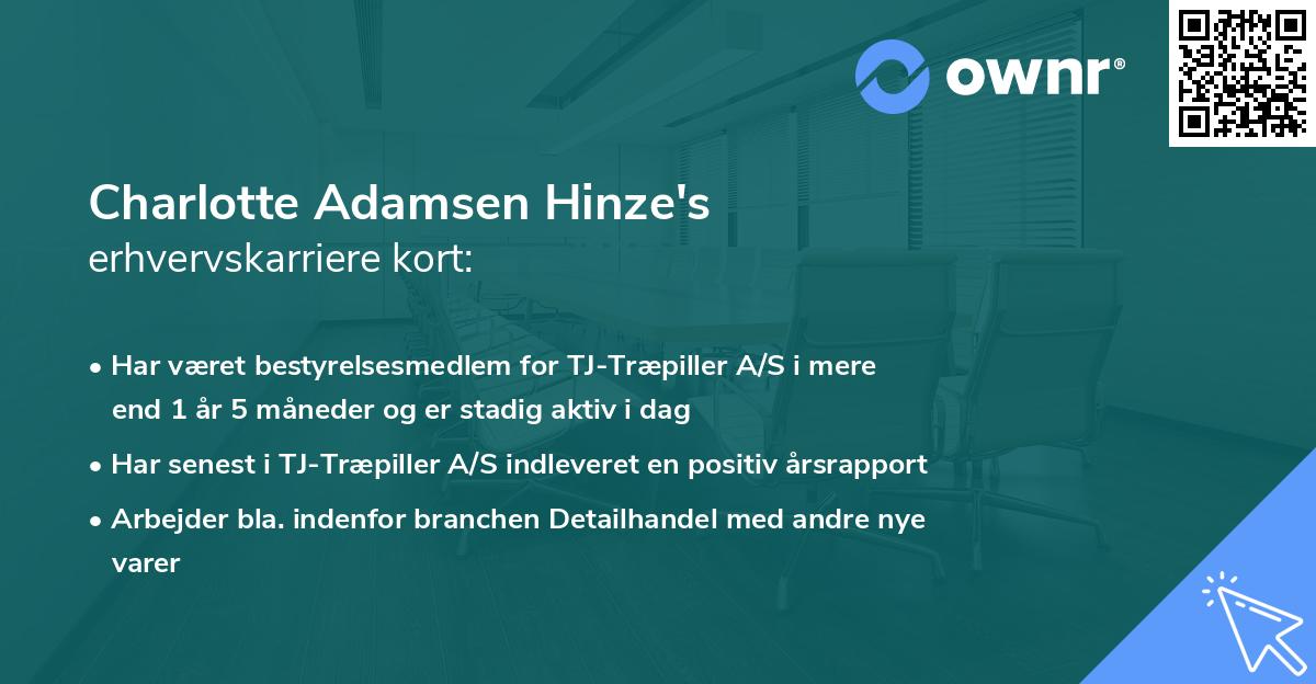 Charlotte Adamsen Hinze's erhvervskarriere kort