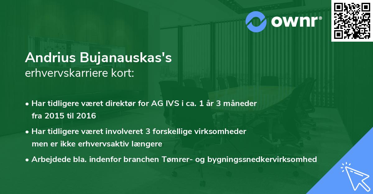 Andrius Bujanauskas's erhvervskarriere kort