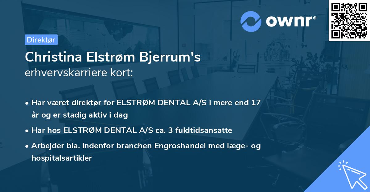 Christina Elstrøm Bjerrum's erhvervskarriere kort