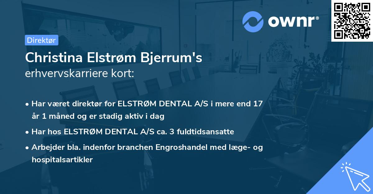 Christina Elstrøm Bjerrum's erhvervskarriere kort