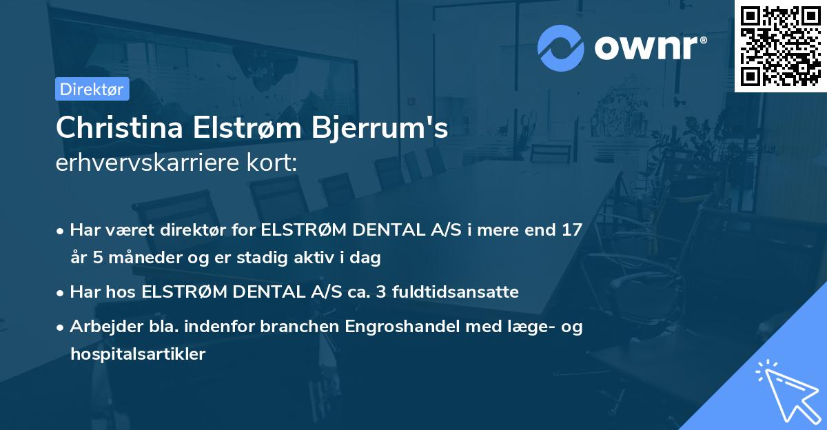Christina Elstrøm Bjerrum's erhvervskarriere kort