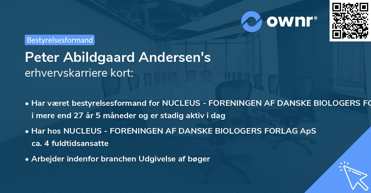 Peter Abildgaard Andersen's erhvervskarriere kort