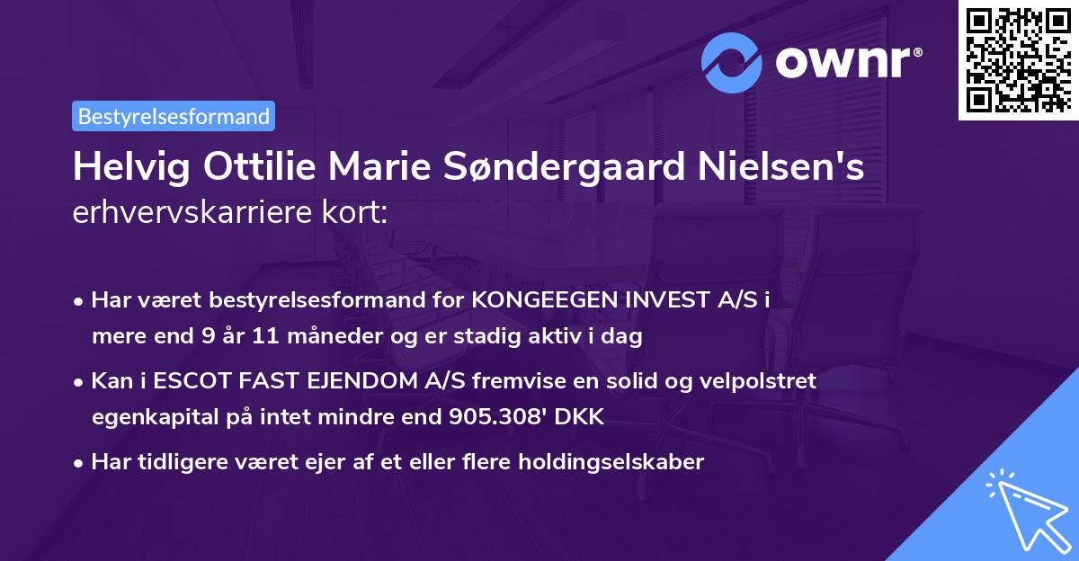 Helvig Ottilie Marie Søndergaard Nielsen's erhvervskarriere kort