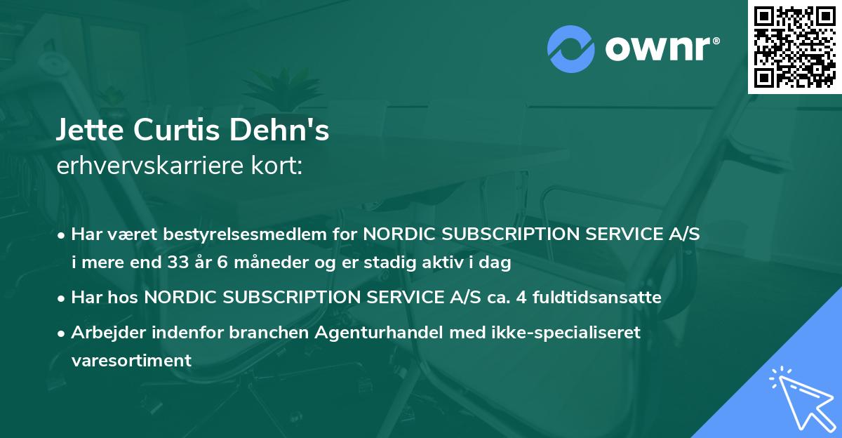 Jette Curtis Dehn's erhvervskarriere kort