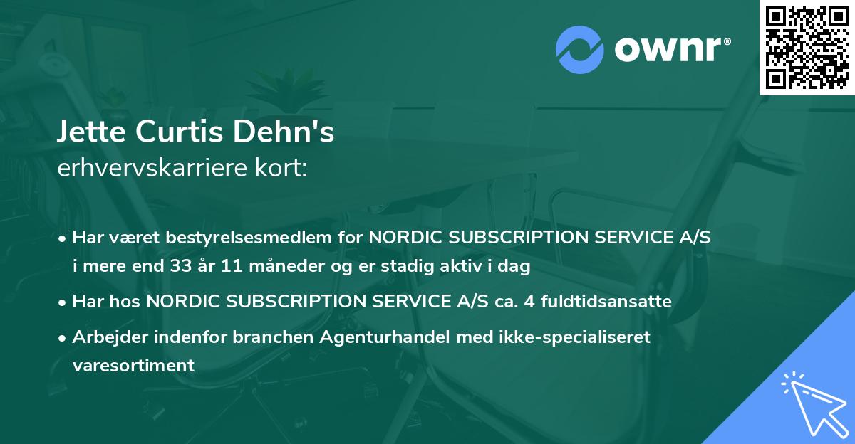 Jette Curtis Dehn's erhvervskarriere kort